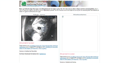 Desktop Screenshot of fuglekamera.naturogfritid.no