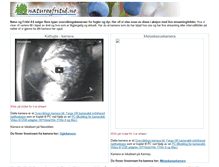 Tablet Screenshot of fuglekamera.naturogfritid.no